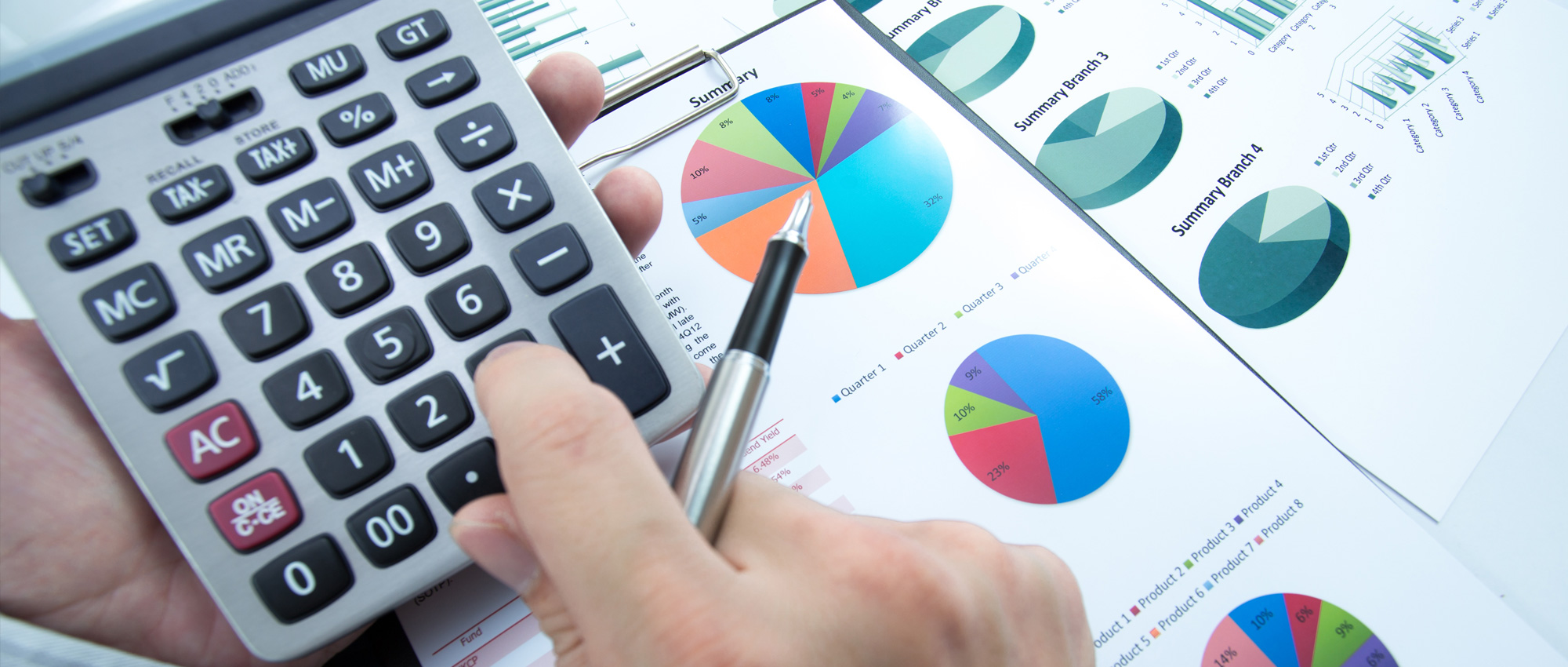 virtual finance manager finance mangement